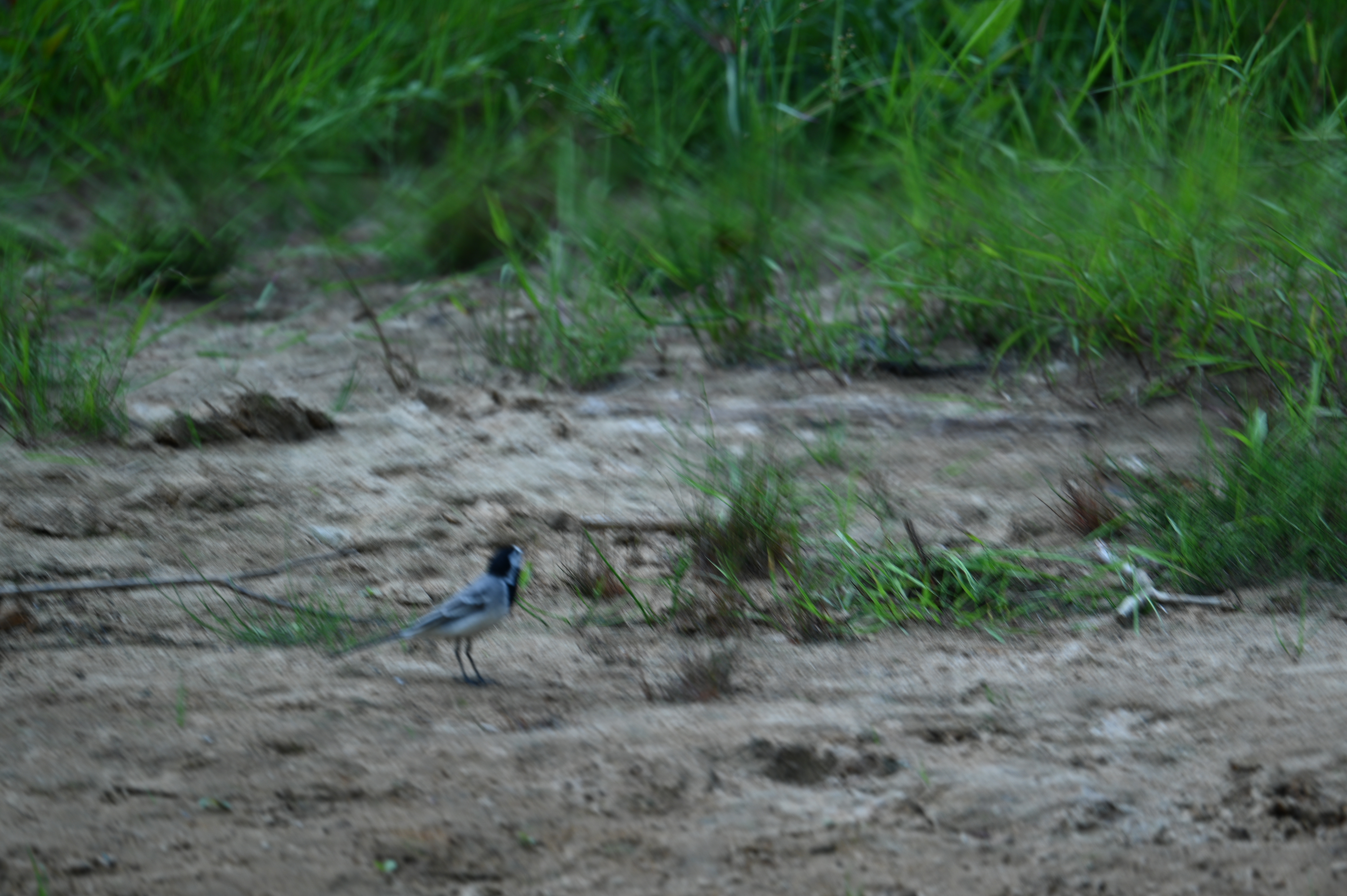 2025/07/09-14 - trip/DSC_0353.JPG